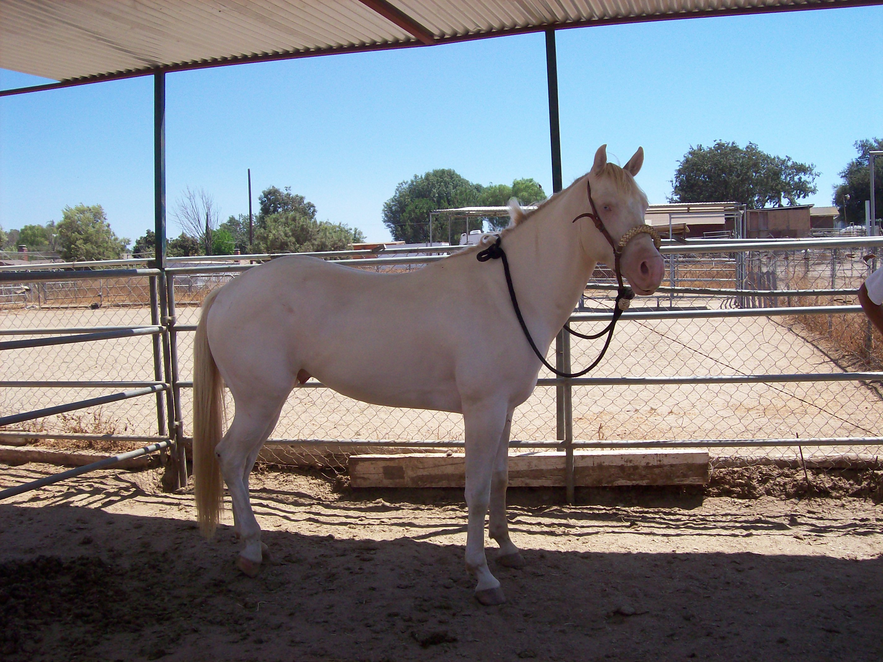 casper003.jpg